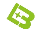 Baoxinglong