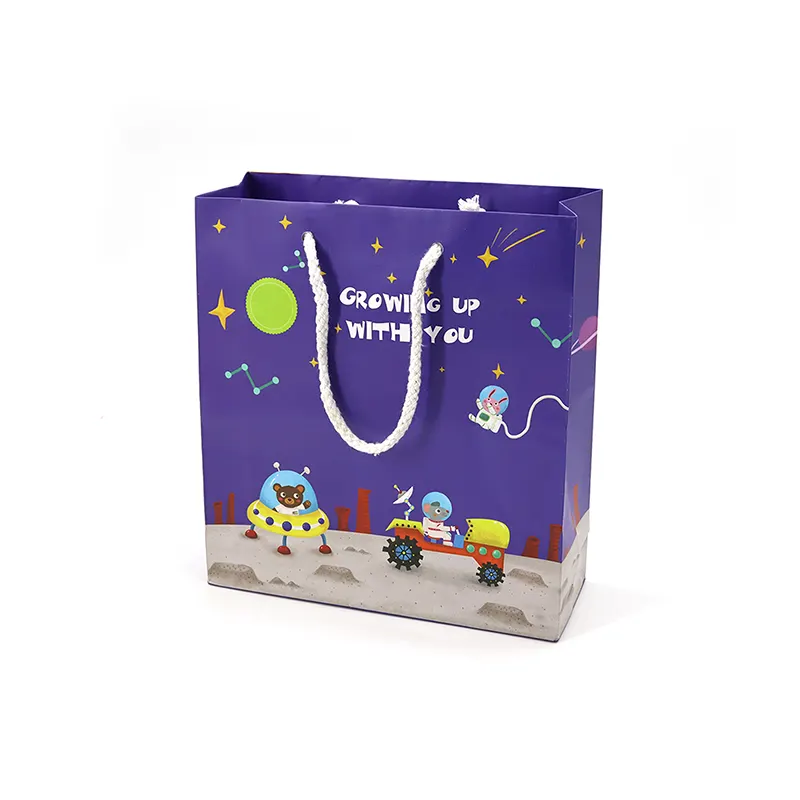 Custom Paper Bag BXL-ZD-003 product view