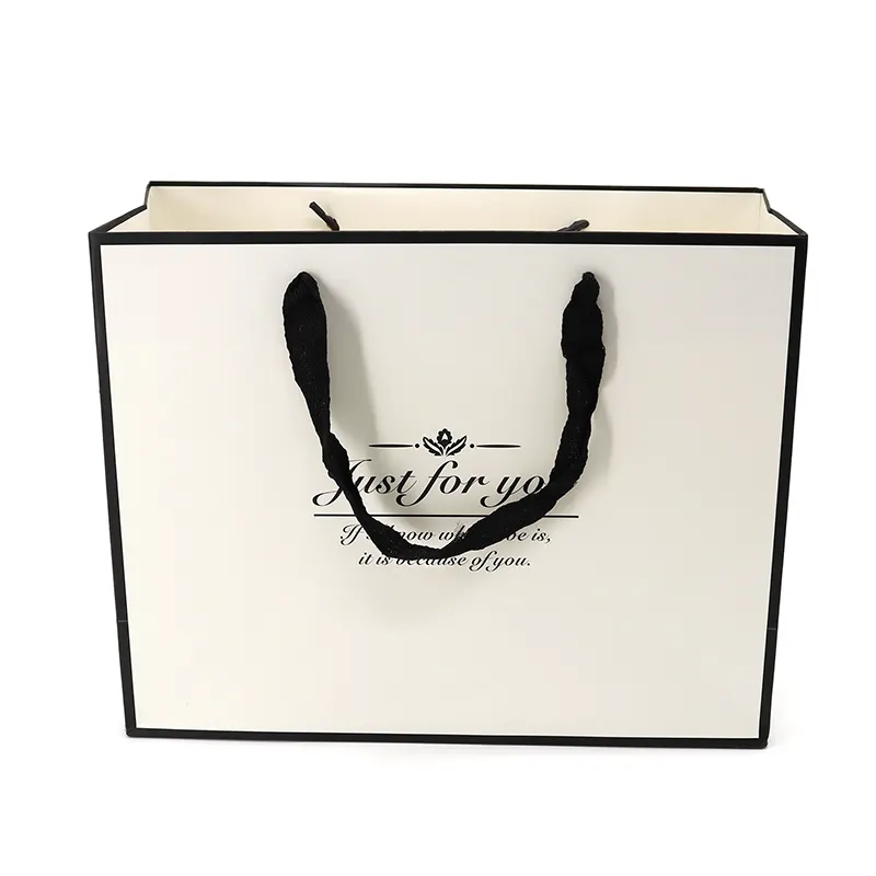 Custom Paper Bag BXL-ZD-007 product view