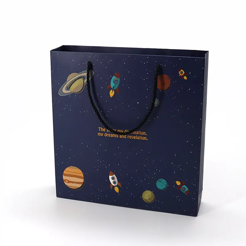 Custom Paper Bag BXL-ZD-009 product view