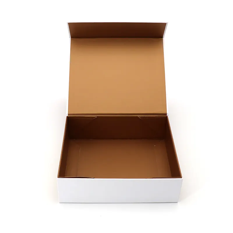 Open BXL-ZDH-003 box with white exterior, brown cavity and attached hinged cover